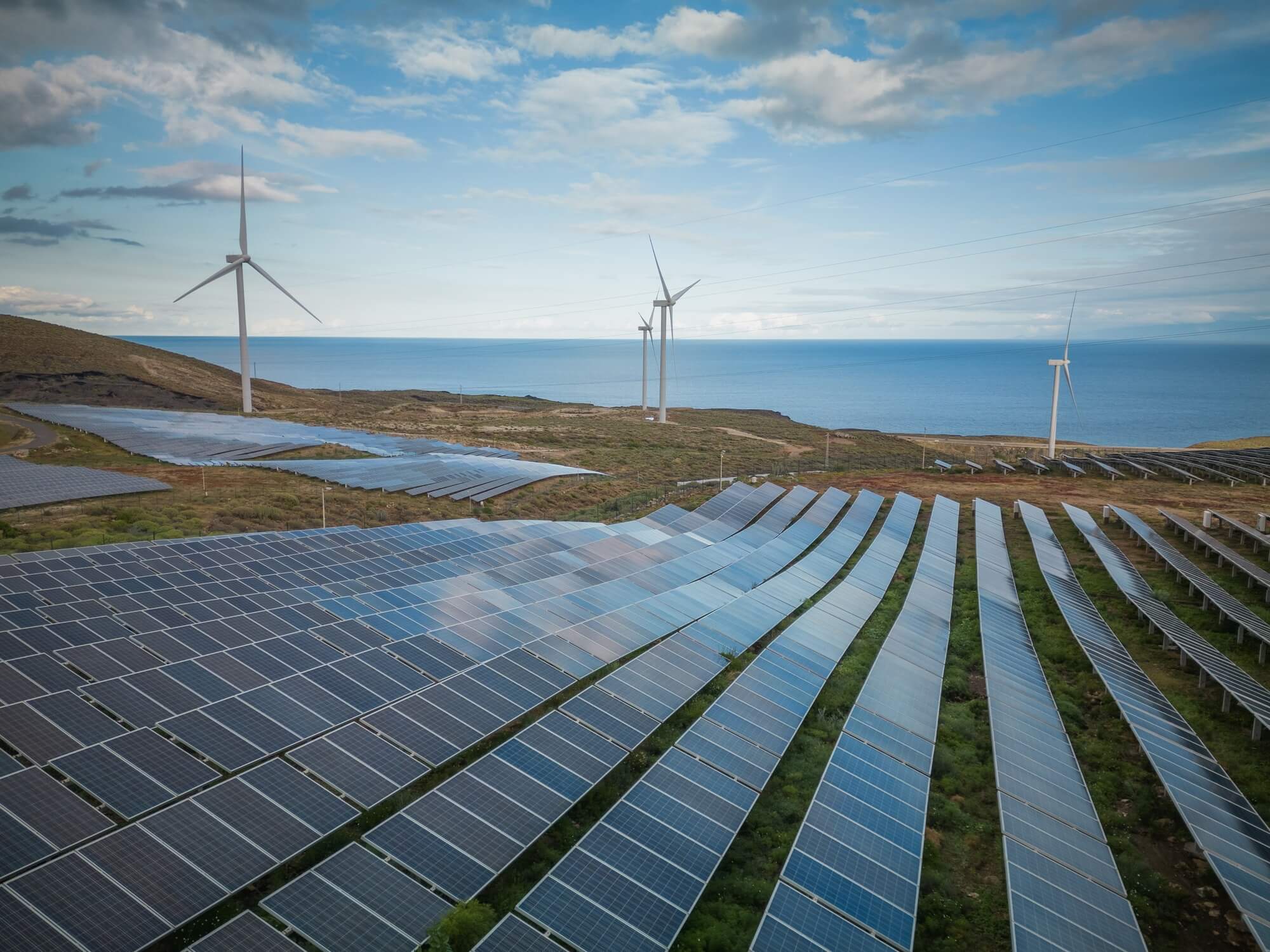Solar power plant with photovoltaic panels and wind turbines to produce renewable energy